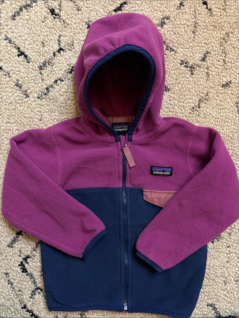 Patagonia Kids Fleece (2T) EUC